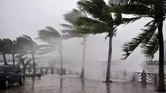 8月臺風(fēng)雨即將來，除濕機還得用起來