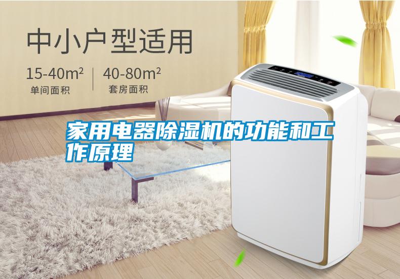 家用電器除濕機的功能和工作原理