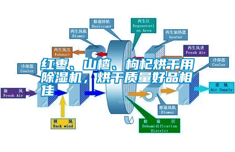 紅棗、山楂、枸杞烘干用除濕機，烘干質(zhì)量好品相佳