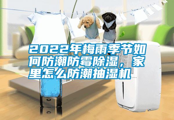 2022年梅雨季節(jié)如何防潮防霉除濕，家里怎么防潮抽濕機(jī)