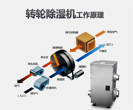 如何買(mǎi)到高性?xún)r(jià)比除濕機(jī)？看完這里你就懂了