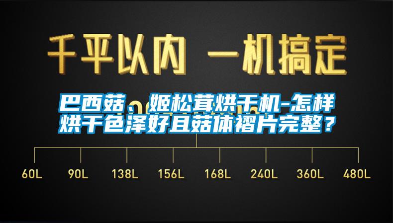 巴西菇、姬松茸烘干機-怎樣烘干色澤好且菇體褶片完整？