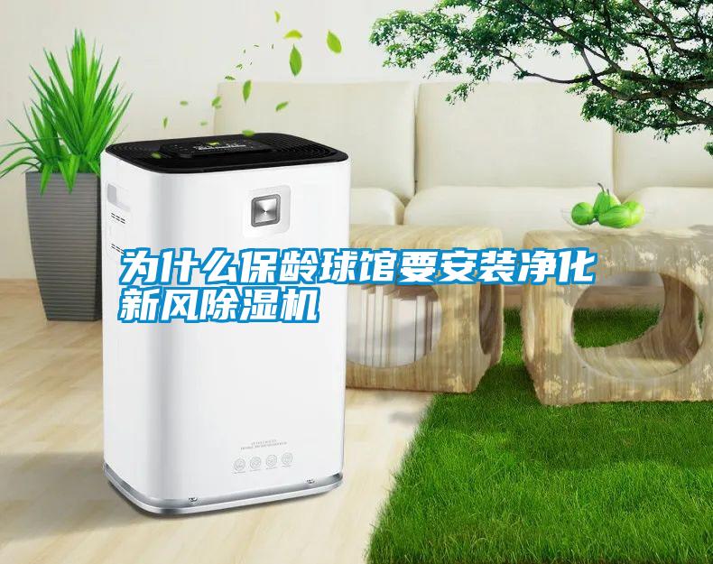 為什么保齡球館要安裝凈化新風除濕機