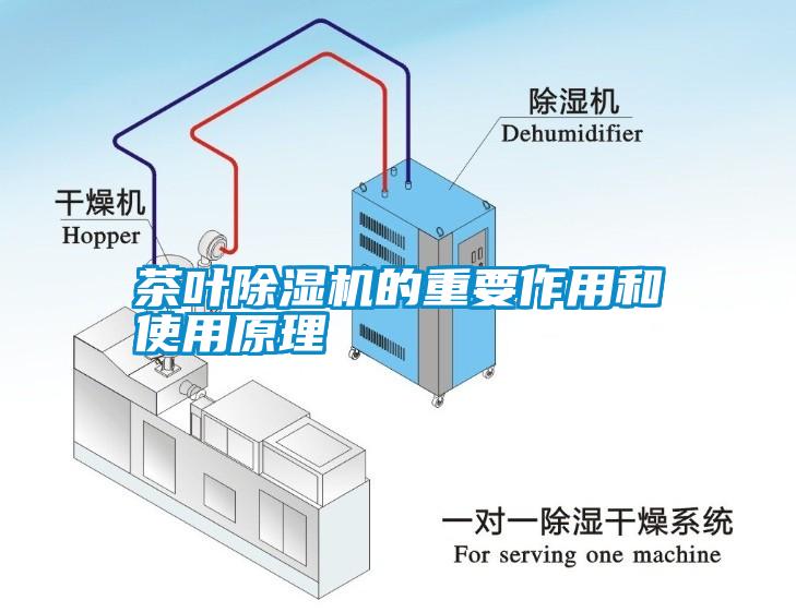 茶葉除濕機(jī)的重要作用和使用原理