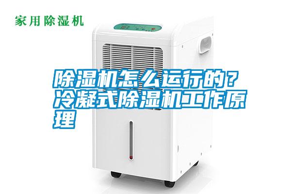 除濕機怎么運行的？冷凝式除濕機工作原理