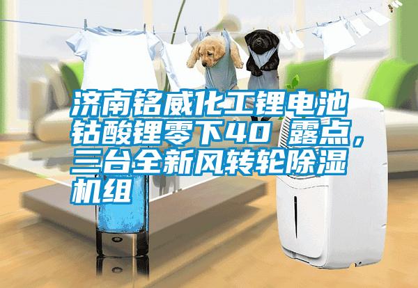 濟南銘威化工鋰電池鈷酸鋰零下40℃露點，三臺全新風(fēng)轉(zhuǎn)輪除濕機組