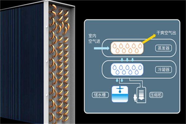 數(shù)據(jù)中心機房用除濕機，數(shù)據(jù)中心機房除濕方案