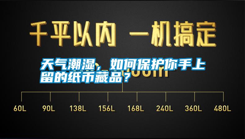 天氣潮濕，如何保護你手上留的紙幣藏品？