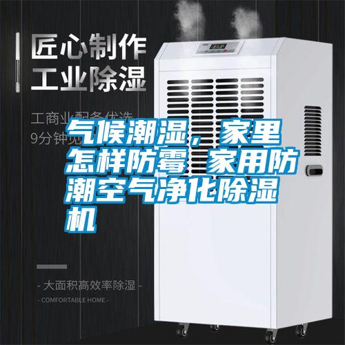 氣候潮濕，家里怎樣防霉 家用防潮空氣凈化除濕機