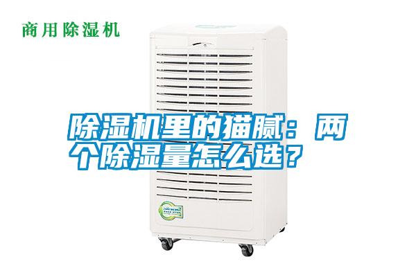 除濕機(jī)里的貓膩：兩個(gè)除濕量怎么選？