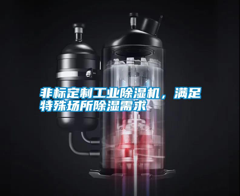 非標(biāo)定制工業(yè)除濕機，滿足特殊場所除濕需求