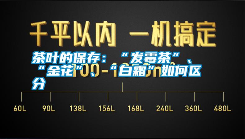 茶葉的保存：“發(fā)霉茶”、“金花”、“白霜”如何區(qū)分