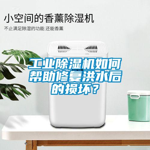 工業(yè)除濕機如何幫助修復洪水后的損壞？