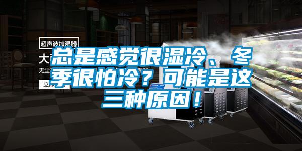 總是感覺(jué)很濕冷、冬季很怕冷？可能是這三種原因！