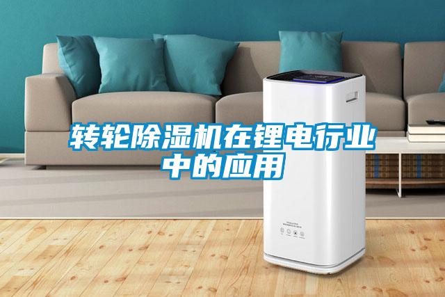 轉輪除濕機在鋰電行業(yè)中的應用