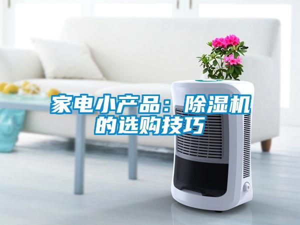 家電小產(chǎn)品：除濕機(jī)的選購技巧