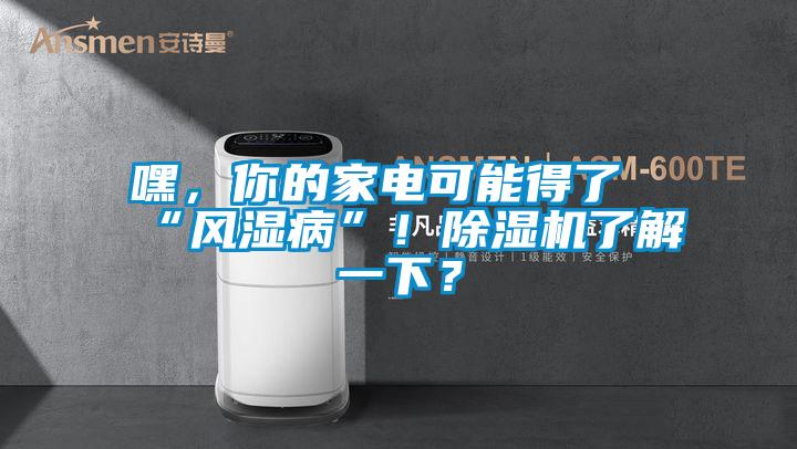 嘿，你的家電可能得了“風濕病”！除濕機了解一下？