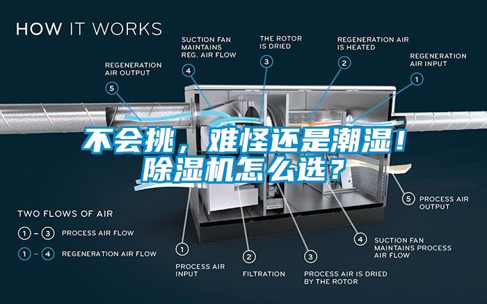 不會(huì)挑，難怪還是潮濕！除濕機(jī)怎么選？