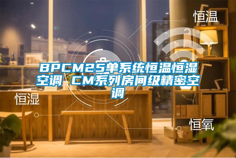 BPCM25單系統(tǒng)恒溫恒濕空調(diào) CM系列房間級精密空調(diào)