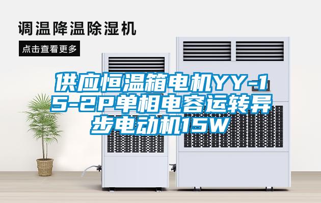 供應恒溫箱電機YY-15-2P單相電容運轉(zhuǎn)異步電動機15W