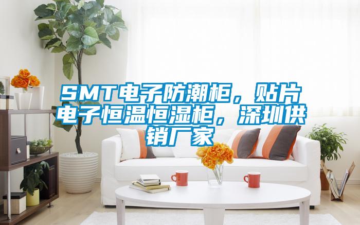 SMT電子防潮柜，貼片電子恒溫恒濕柜，深圳供銷廠家