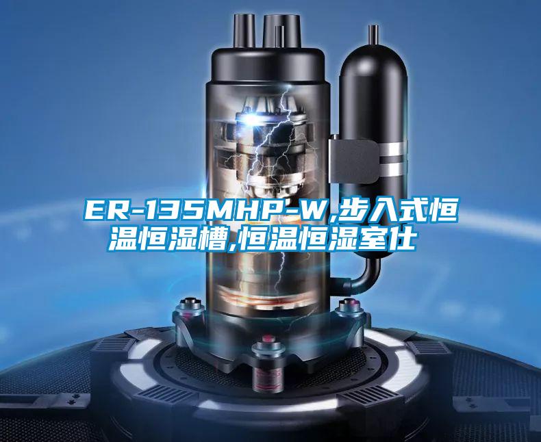 ER-135MHP-W,步入式恒溫恒濕槽,恒溫恒濕室仕様書(shū)