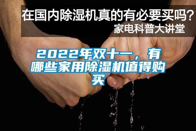 2022年雙十一，有哪些家用除濕機(jī)值得購買