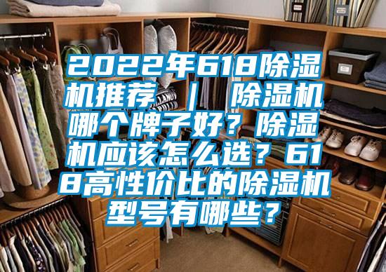 2022年618除濕機(jī)推薦 ｜ 除濕機(jī)哪個(gè)牌子好？除濕機(jī)應(yīng)該怎么選？618高性價(jià)比的除濕機(jī)型號(hào)有哪些？