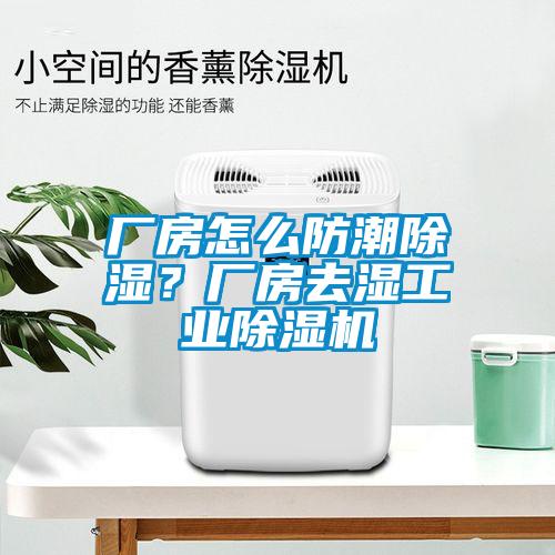 廠房怎么防潮除濕？廠房去濕工業(yè)除濕機