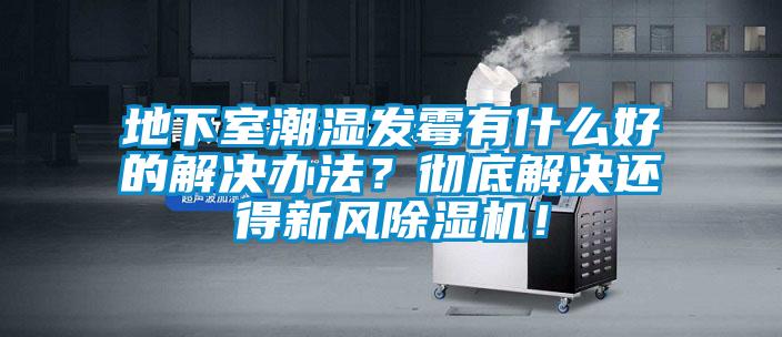 地下室潮濕發(fā)霉有什么好的解決辦法？徹底解決還得新風(fēng)除濕機(jī)！