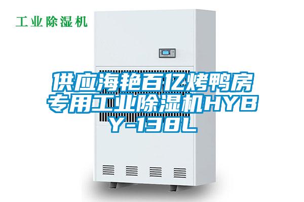 供應海艷百億烤鴨房專用工業(yè)除濕機HYBY-138L