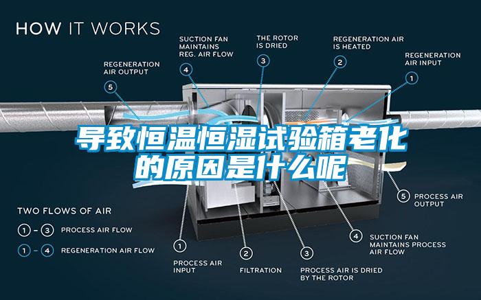 導(dǎo)致恒溫恒濕試驗箱老化的原因是什么呢