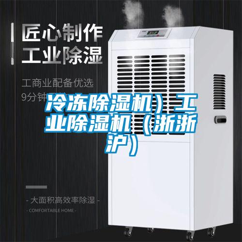 冷凍除濕機(jī)）工業(yè)除濕機(jī)（浙浙滬）