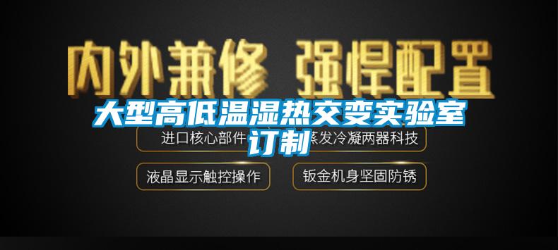 大型高低溫濕熱交變實驗室訂制