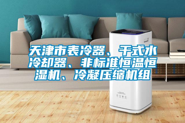 天津市表冷器、干式水冷卻器、非標準恒溫恒濕機、冷凝壓縮機組