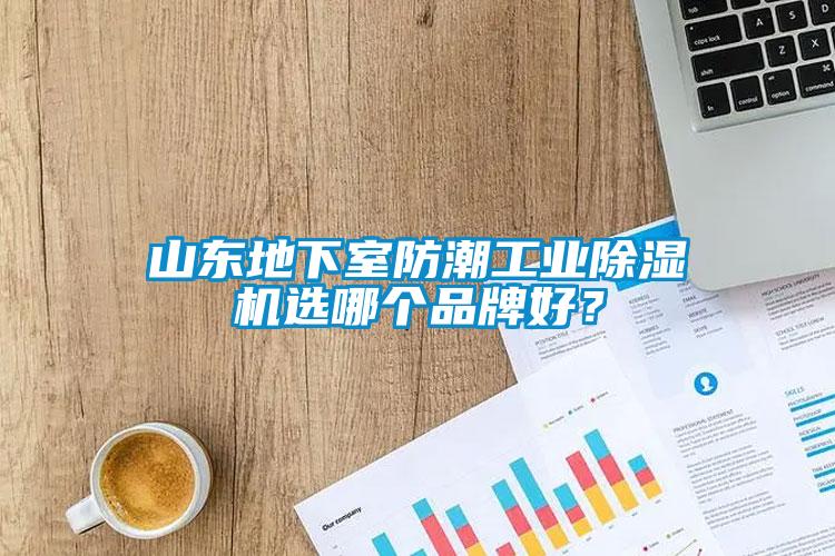 山東地下室防潮工業(yè)除濕機選哪個品牌好？