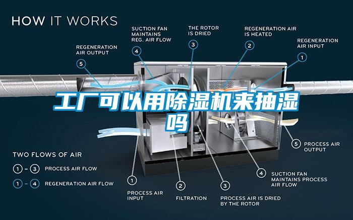 工廠可以用除濕機(jī)來(lái)抽濕嗎