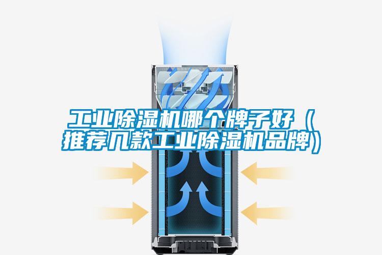 工業(yè)除濕機哪個牌子好（推薦幾款工業(yè)除濕機品牌）