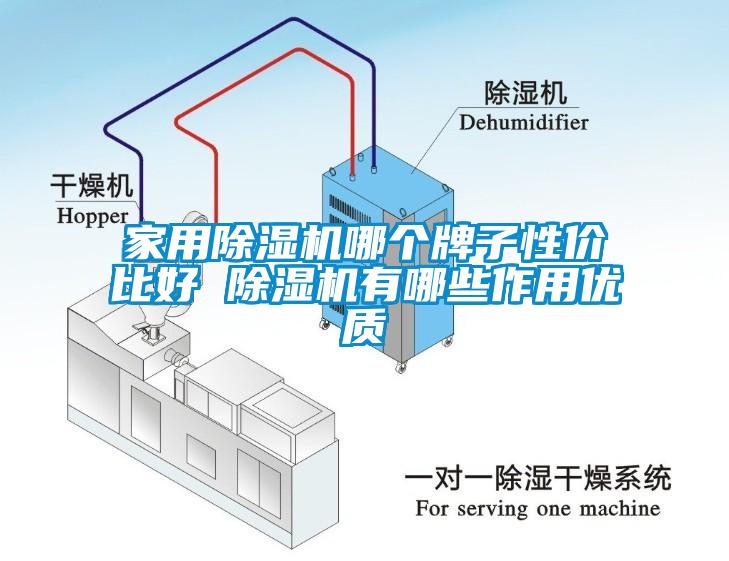 家用除濕機(jī)哪個牌子性價比好 除濕機(jī)有哪些作用優(yōu)質(zhì)