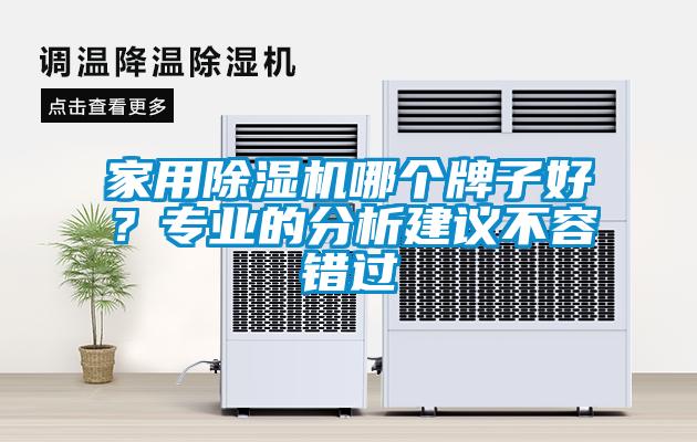 家用除濕機(jī)哪個牌子好？專業(yè)的分析建議不容錯過