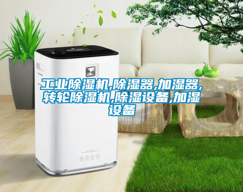 工業(yè)除濕機,除濕器,加濕器,轉輪除濕機,除濕設備,加濕設備