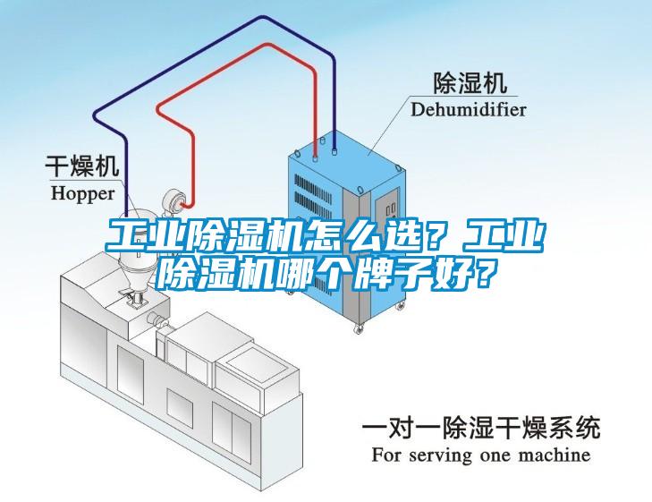 工業(yè)除濕機(jī)怎么選？工業(yè)除濕機(jī)哪個(gè)牌子好？