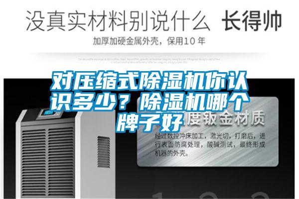 對壓縮式除濕機你認識多少？除濕機哪個牌子好