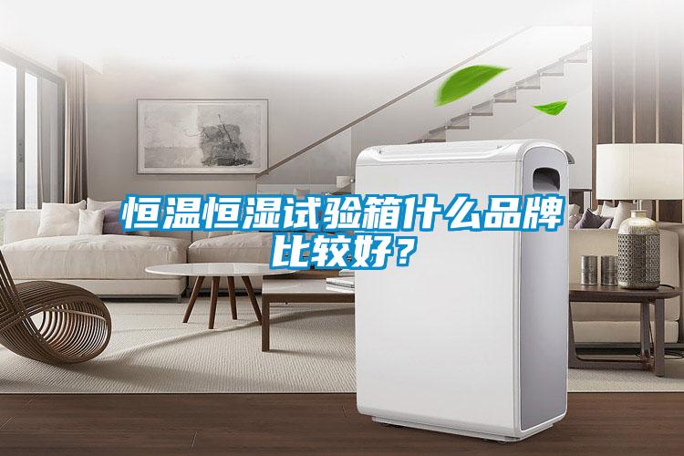 恒溫恒濕試驗(yàn)箱什么品牌比較好？