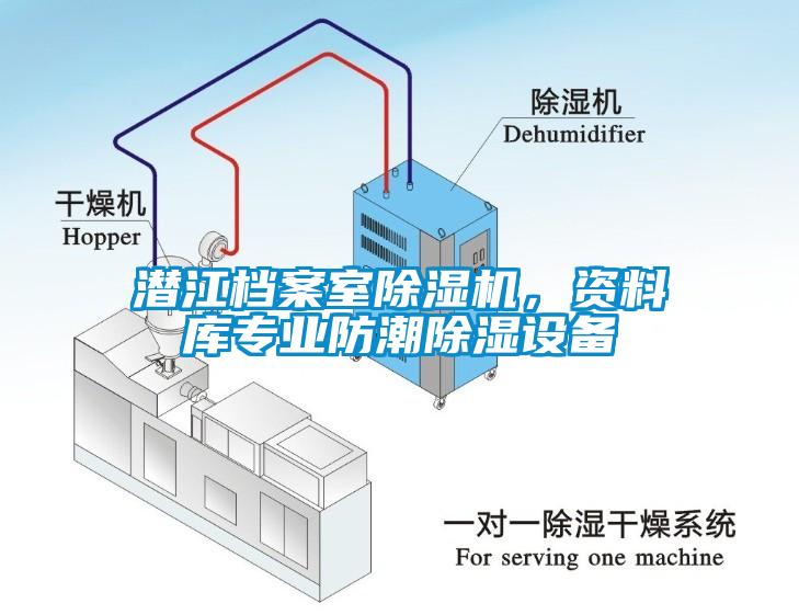 潛江檔案室除濕機(jī)，資料庫(kù)專業(yè)防潮除濕設(shè)備