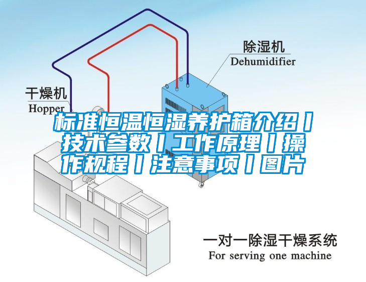 標準恒溫恒濕養(yǎng)護箱介紹丨技術(shù)參數(shù)丨工作原理丨操作規(guī)程丨注意事項丨圖片