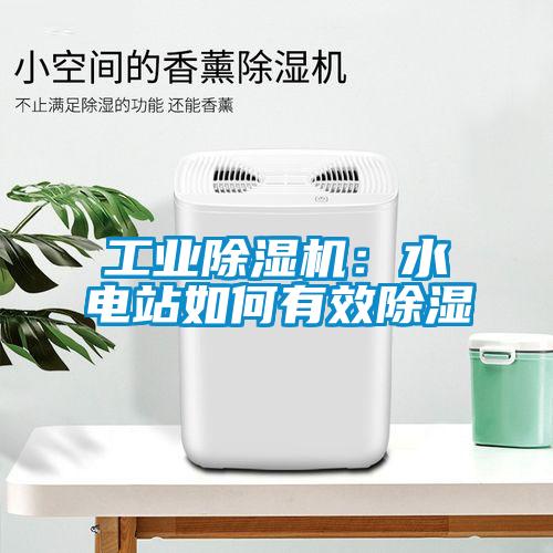 工業(yè)除濕機：水電站如何有效除濕