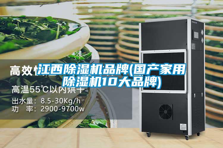 江西除濕機品牌(國產(chǎn)家用除濕機10大品牌)