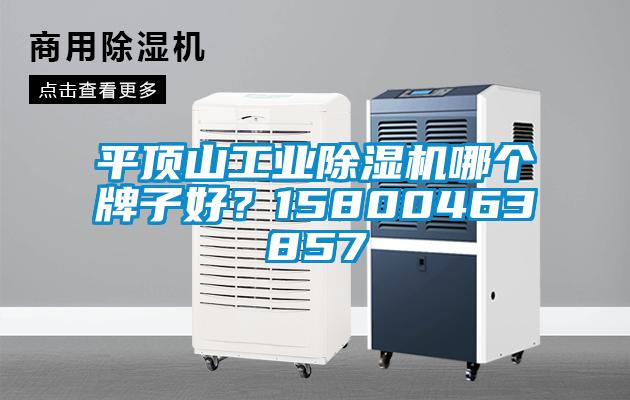 平頂山工業(yè)除濕機哪個牌子好？15800463857