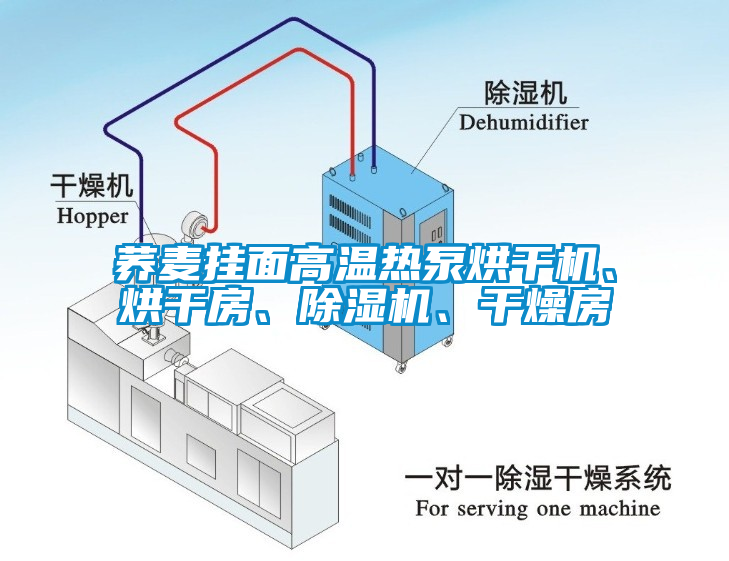 蕎麥掛面高溫?zé)岜煤娓蓹C(jī)、烘干房、除濕機(jī)、干燥房